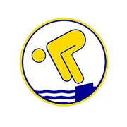 Deutsches Schwimmabzeichen Gold